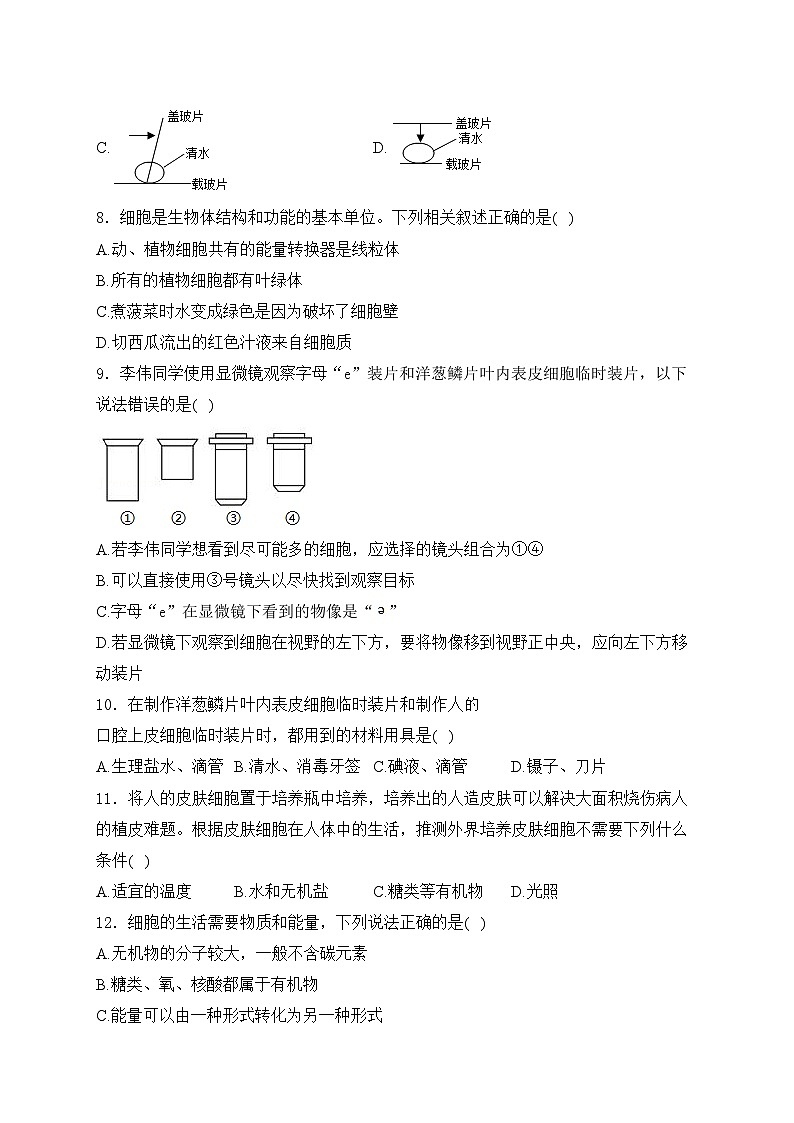重庆市第八中学校2024-2025学年七年级上学期期中考试生物试卷(含答案)第2页