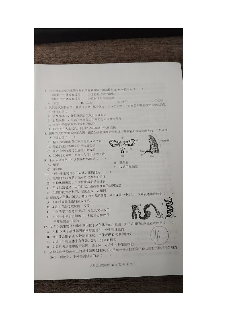 山东省德州市平原县王凤楼镇中学,平原县坊子乡中学2024-2025学年八年级上学期1月期末生物试题第2页