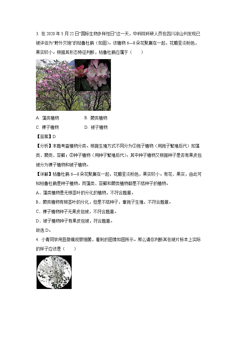 山西省臨汾侯馬市2023-2024學(xué)年七年級(jí)上學(xué)期期末生物試卷（解析版）第2頁