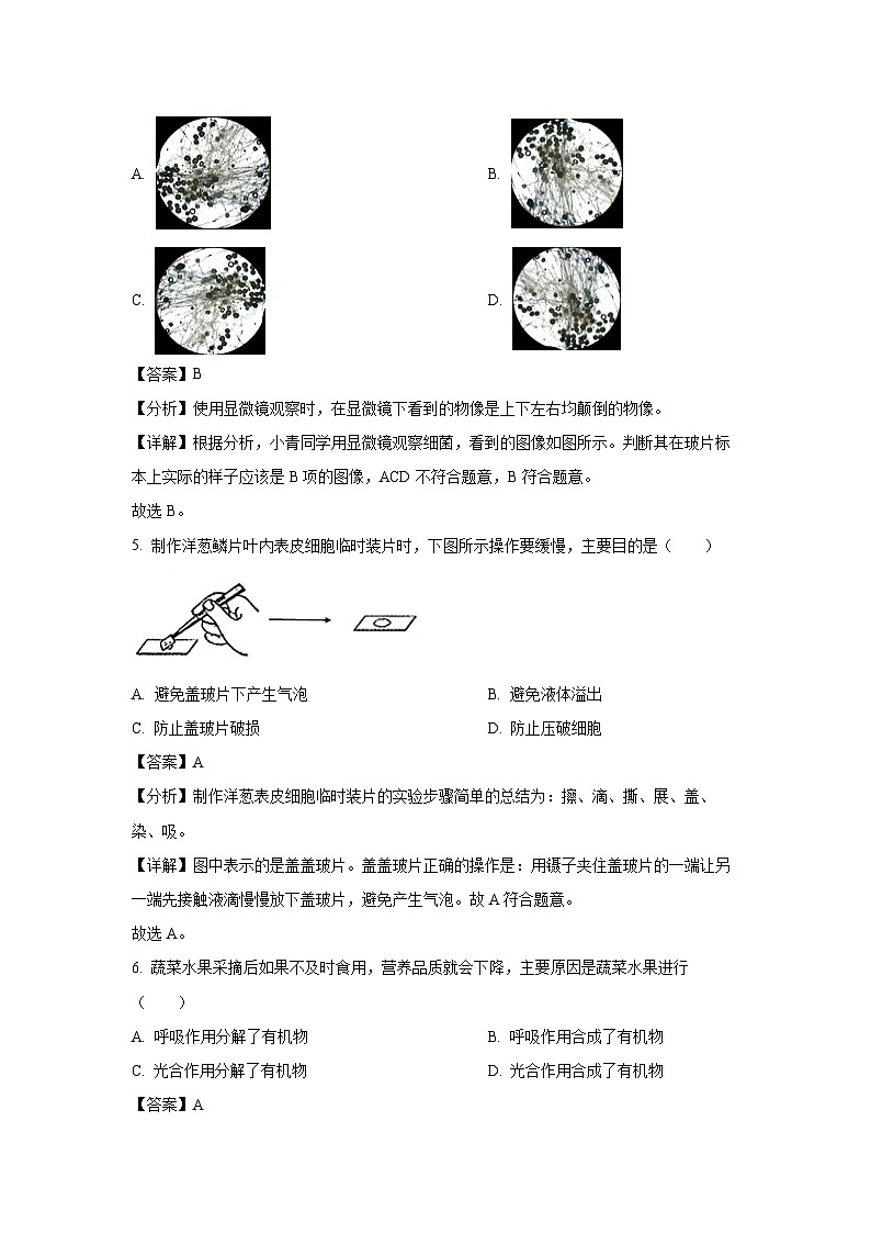 山西省临汾侯马市2023-2024学年七年级上学期期末生物试卷(解析版)第3页