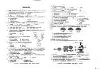 广西防城港市防城区2024-2025学年七年级上学期期末测试生物试题