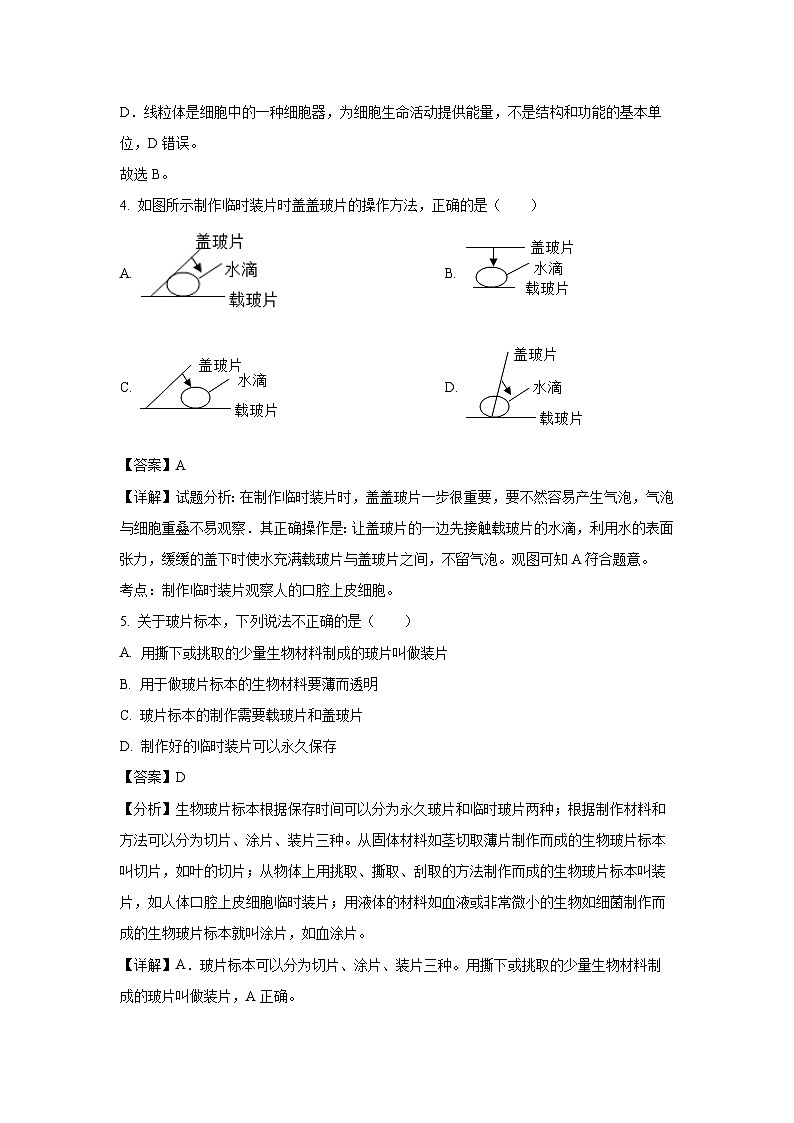 2024~2025学年黑龙江省齐齐哈尔市七年级上学期期末生物试卷(解析版)第3页