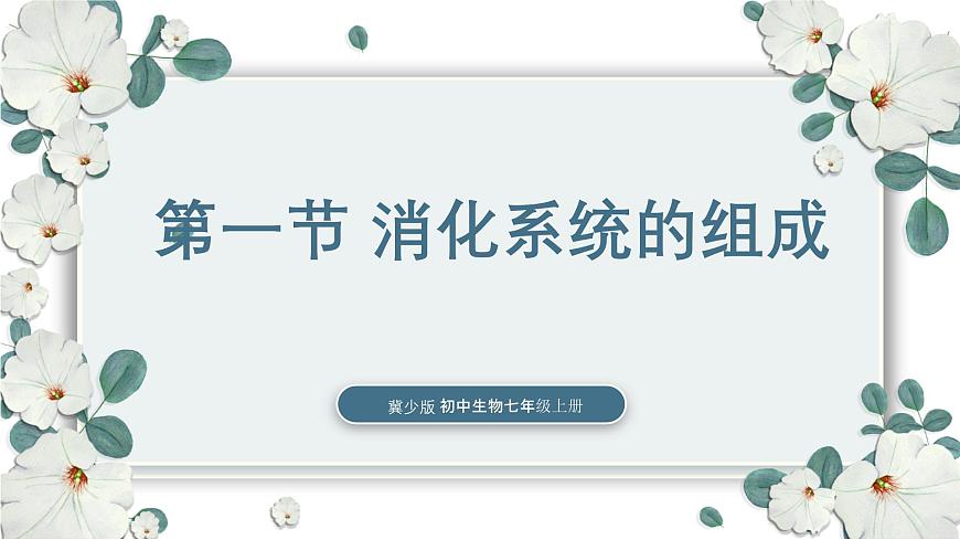 【核心素養(yǎng)目標(biāo)】冀少版初中生物七年級下冊《消化系統(tǒng)的組成》課件第1頁