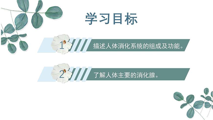 【核心素養(yǎng)目標(biāo)】冀少版初中生物七年級下冊《消化系統(tǒng)的組成》課件第3頁