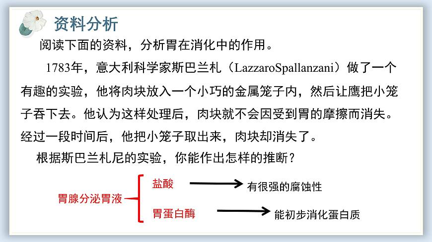 【核心素養(yǎng)目標(biāo)】冀少版初中生物七年級下冊《消化系統(tǒng)的組成》課件第8頁