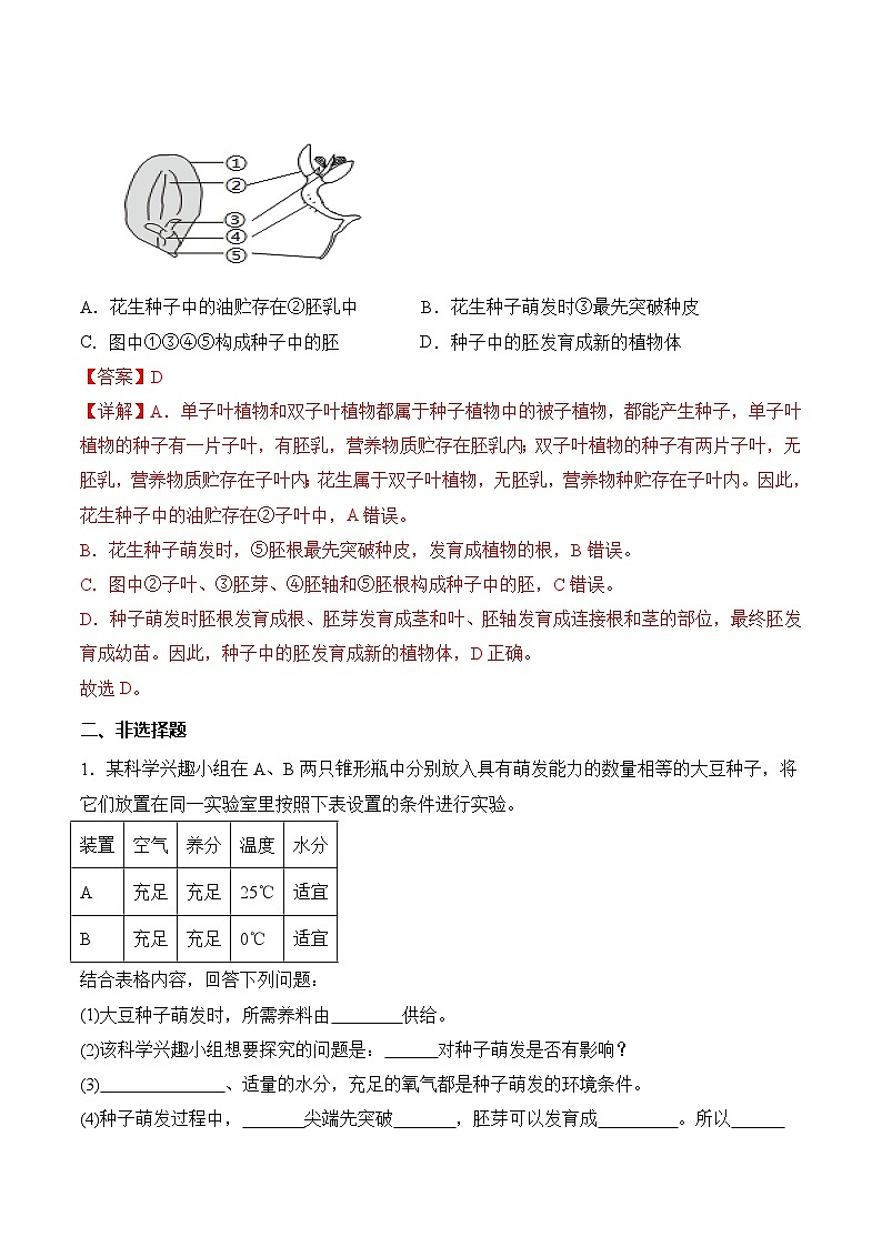 3.1.1 种子的萌发(分层作业)(解析版)第3页