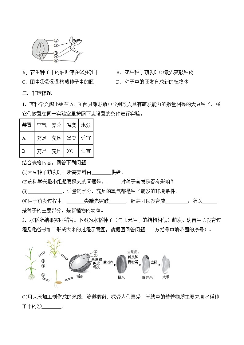 3.1.1 种子的萌发(分层作业)(原卷版)第2页