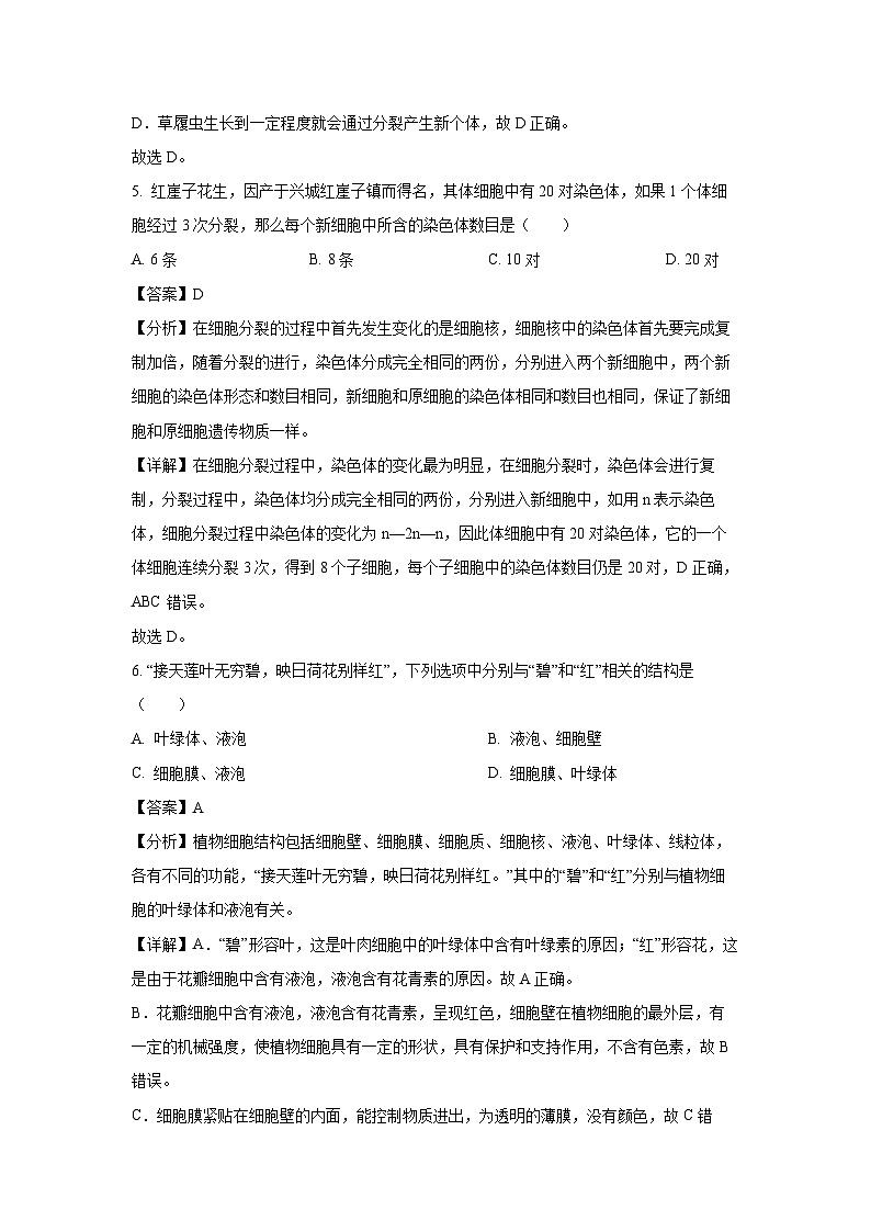 2024~2025学年辽宁省葫芦岛市七年级上学期期末生物试卷(解析版)第3页