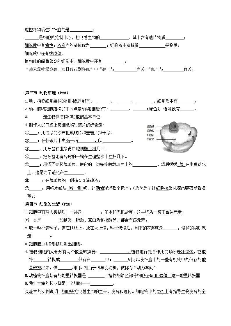 人教版(2024新版)七年级上册生物期末复习知识点朝纲填空练习题版(含答案)第3页
