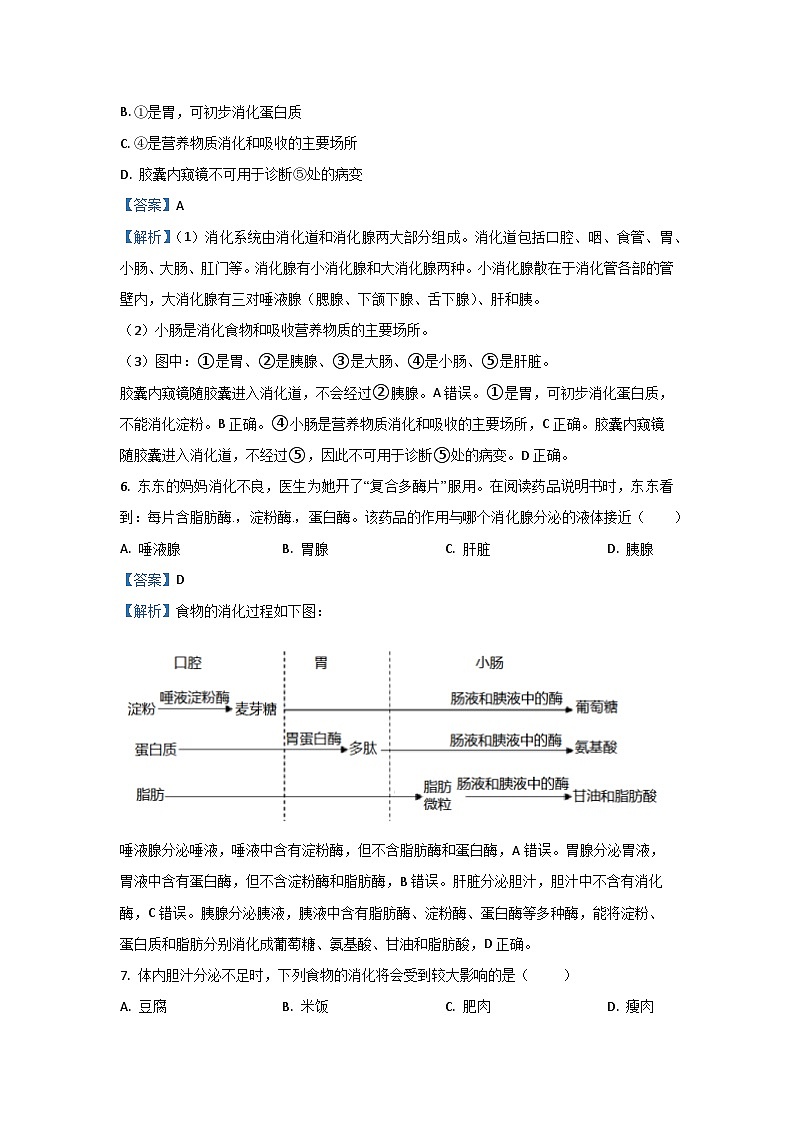 2023~2024学年山西省运城市运城力行中学七年级下学期期中生物学生物试卷(解析版)第3页