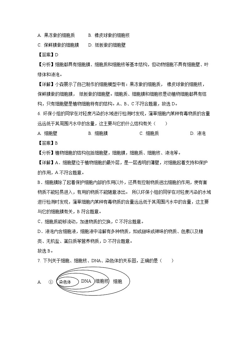 2024~2025学年海南省海口市七年级上学期期末生物试卷(解析版)第3页