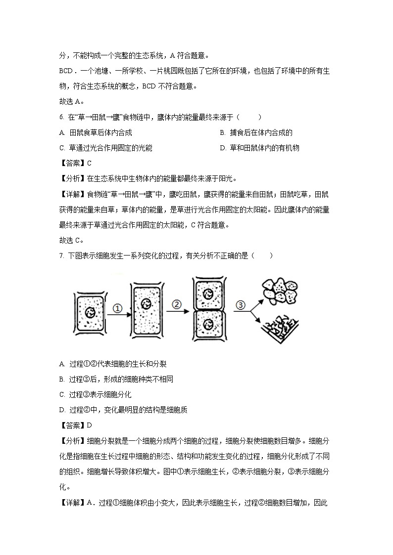 2024~2025学年江苏省扬州市邗江区七年级上学期期末生物试卷(解析版)第3页