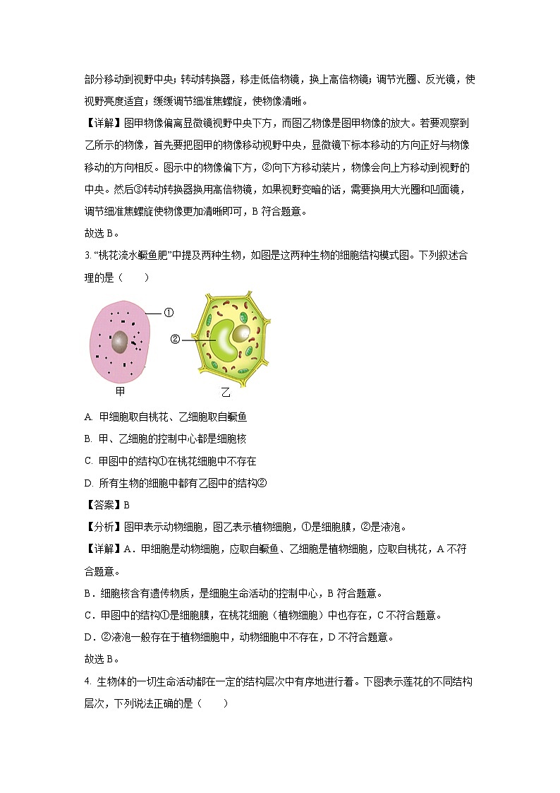 2024~2025学年江苏省盐城市东台市第一教育联盟七年级上12月月考生物试卷(解析版)第2页