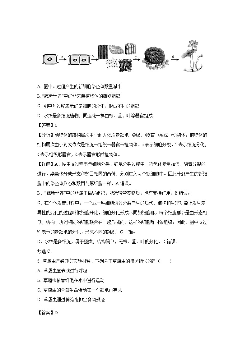 2024~2025学年江苏省盐城市东台市第一教育联盟七年级上12月月考生物试卷(解析版)第3页