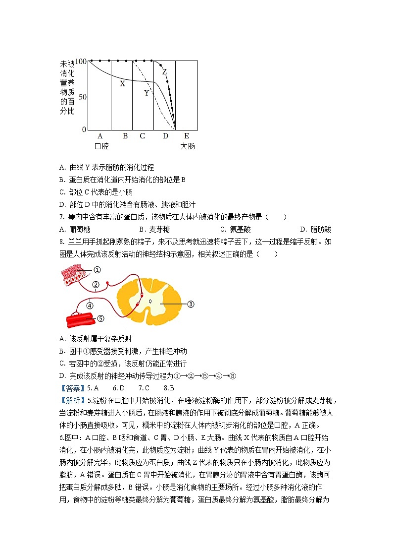 2023~2024学年山西省吕梁市汾阳市海洪初级中学校七年级下6月月考生物学生物试卷(解析版)第3页
