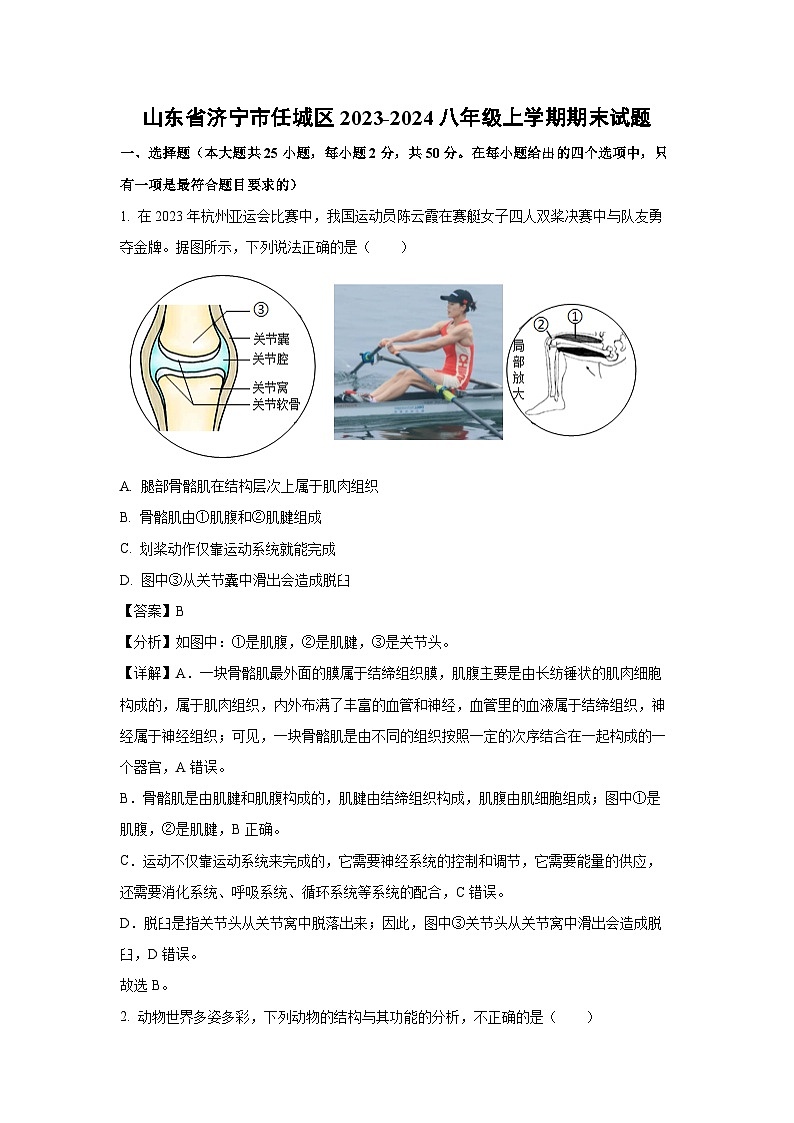 山东省济宁市任城区2023~2024八年级上学期期末生物试卷(解析版)第1页