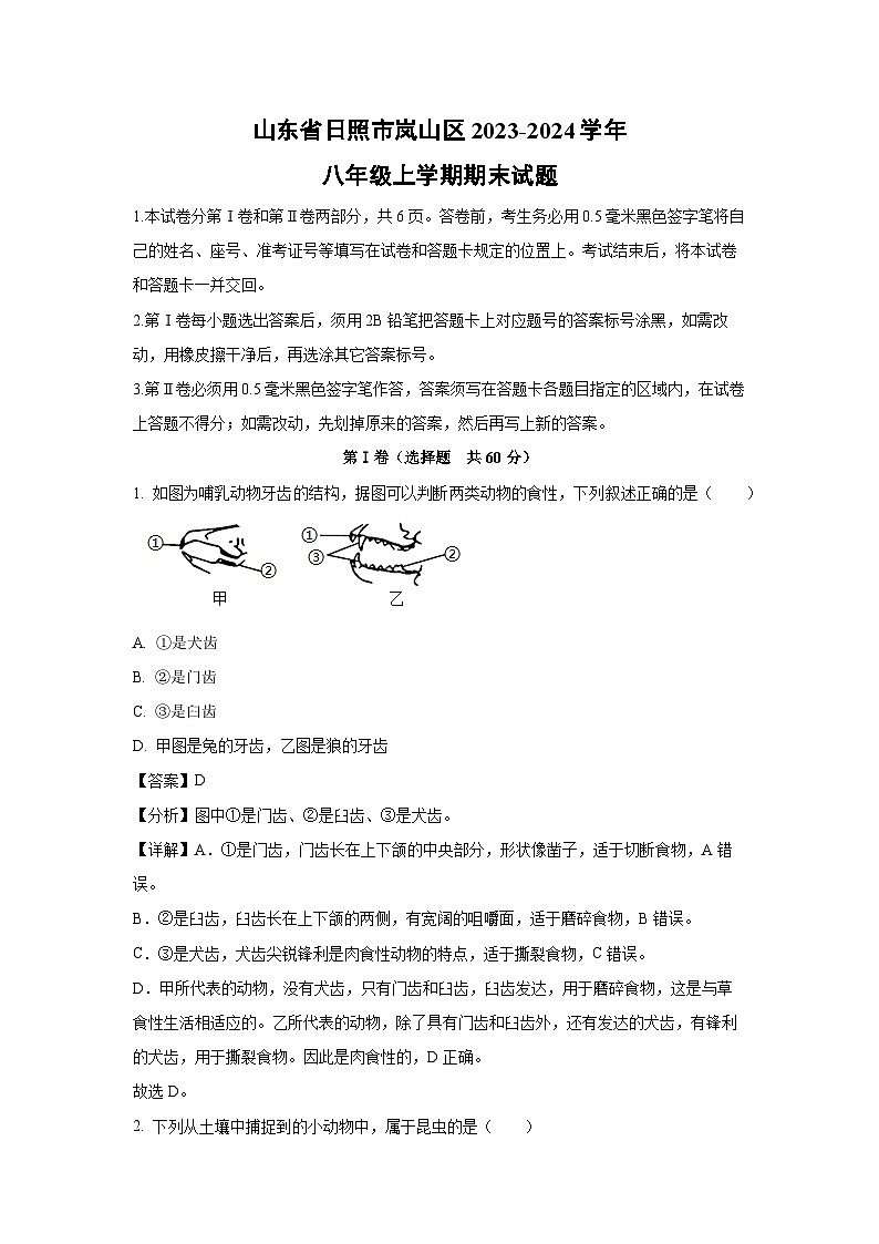2023~2024学年山东省日照市岚山区八年级上学期期末生物试卷(解析版)第1页