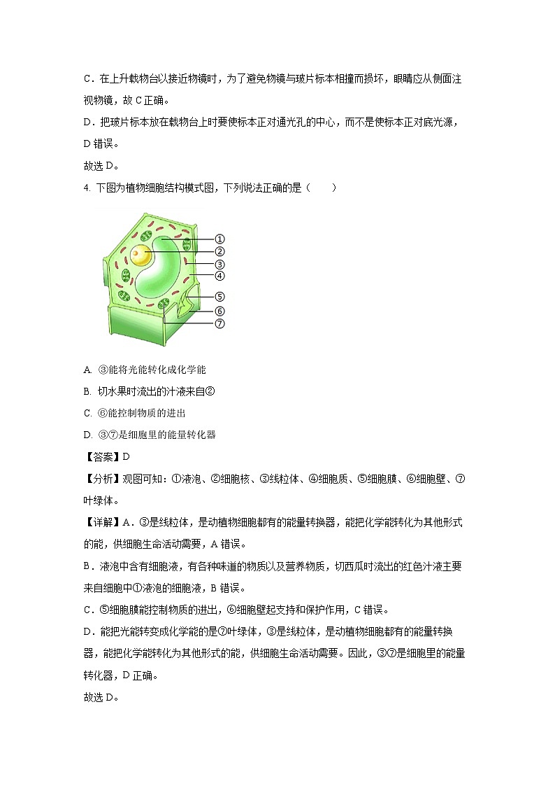 2024~2025学年吉林省吉林市丰满区七年级上学期期末生物试卷(解析版)第3页