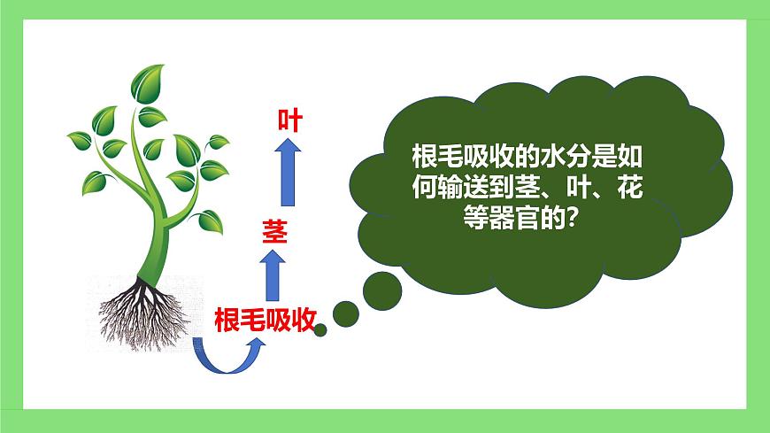 人教版初中生物七年級下冊3.2.1《水的利用與散失》課件第8頁