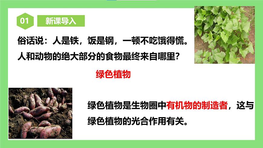 人教版初中生物七年級下冊3.2.2《光合作用》課件第3頁