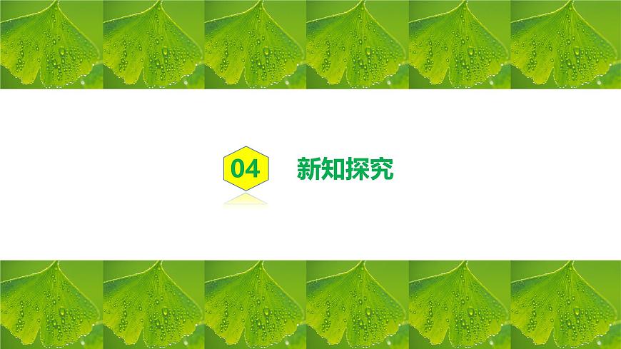 人教版初中生物七年級下冊3.2.2《光合作用》課件第6頁