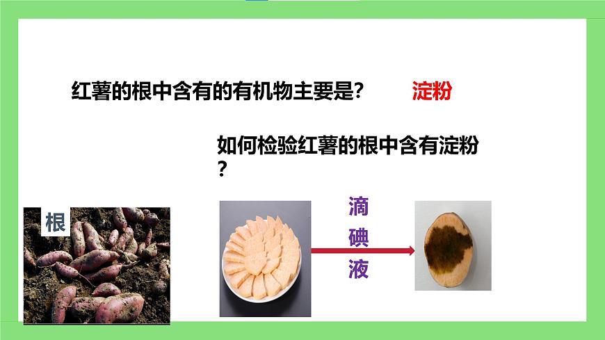 人教版初中生物七年級下冊3.2.2《光合作用》課件第8頁