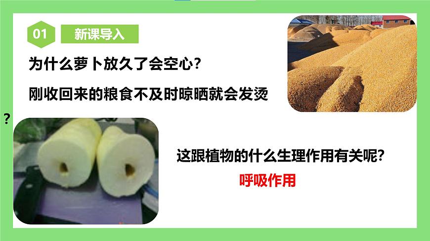 人教版初中生物七年級下冊3.2.3《呼吸作用》課件第3頁