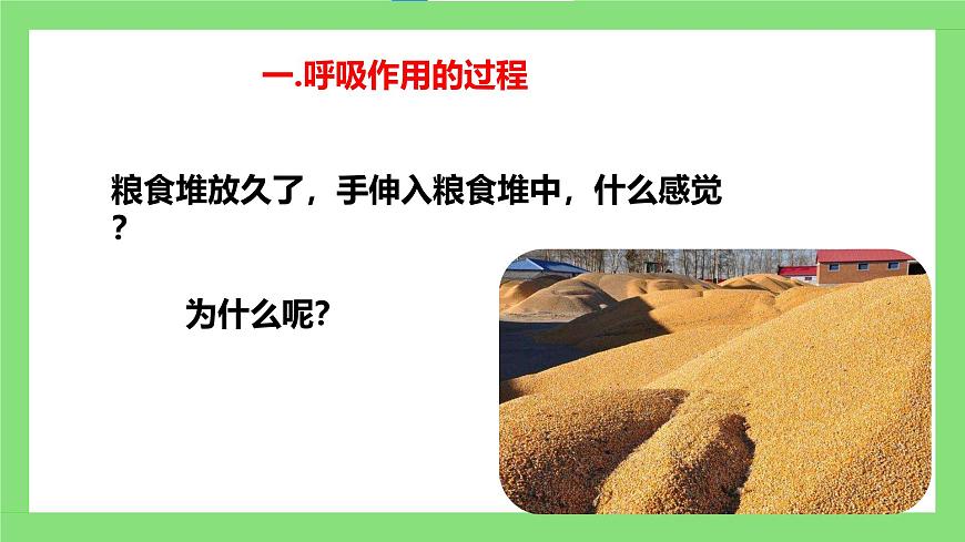 人教版初中生物七年級下冊3.2.3《呼吸作用》課件第7頁