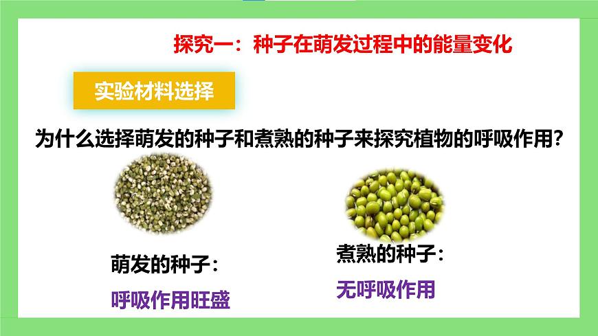 人教版初中生物七年級下冊3.2.3《呼吸作用》課件第8頁