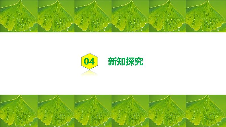 人教版初中生物七年级下册3.2.4《植物在自然界中的作用》课件第6页