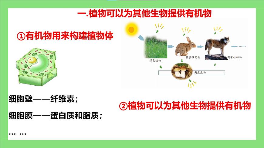 人教版初中生物七年級下冊3.2.4《植物在自然界中的作用》課件第7頁