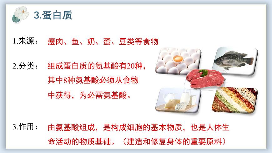 【核心素養(yǎng)目標(biāo)】冀少版初中生物七年級下冊《人體生命活動需要的營養(yǎng)物質(zhì)》課件第8頁