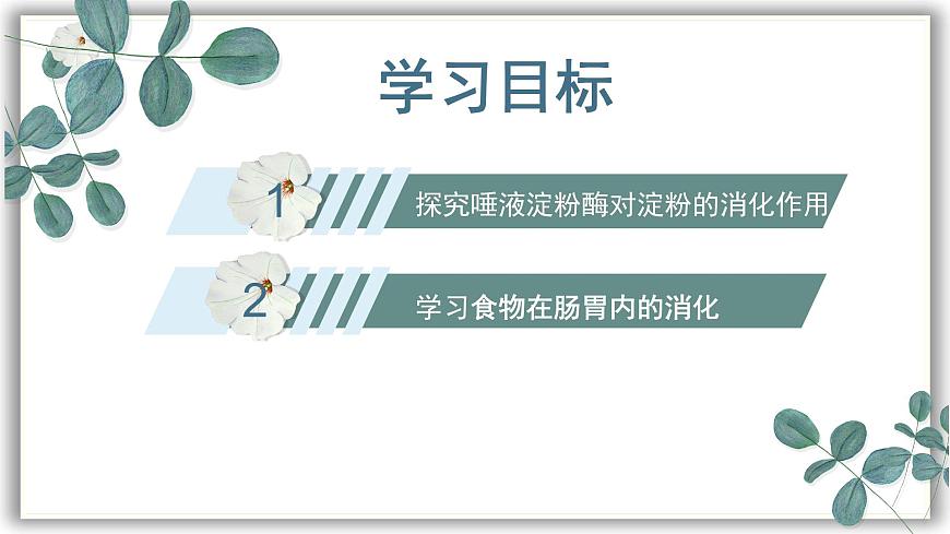 【核心素養(yǎng)目標(biāo)】冀少版初中生物七年級(jí)下冊(cè)《食物在口腔內(nèi)的消化》課件pptx第3頁(yè)