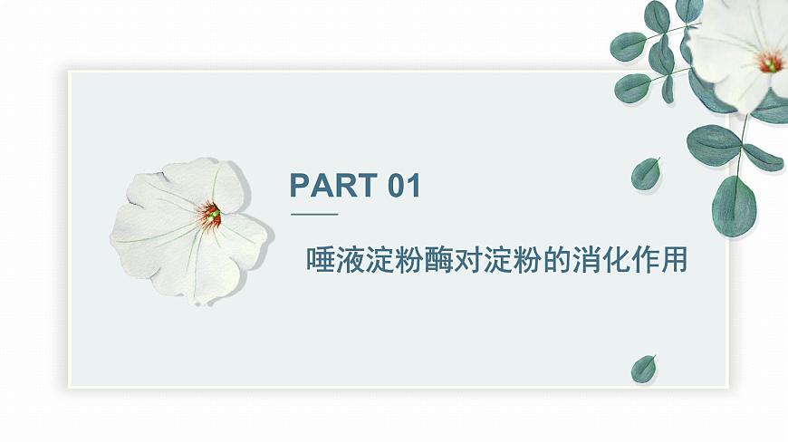 【核心素養(yǎng)目標(biāo)】冀少版初中生物七年級(jí)下冊(cè)《食物在口腔內(nèi)的消化》課件pptx第4頁(yè)