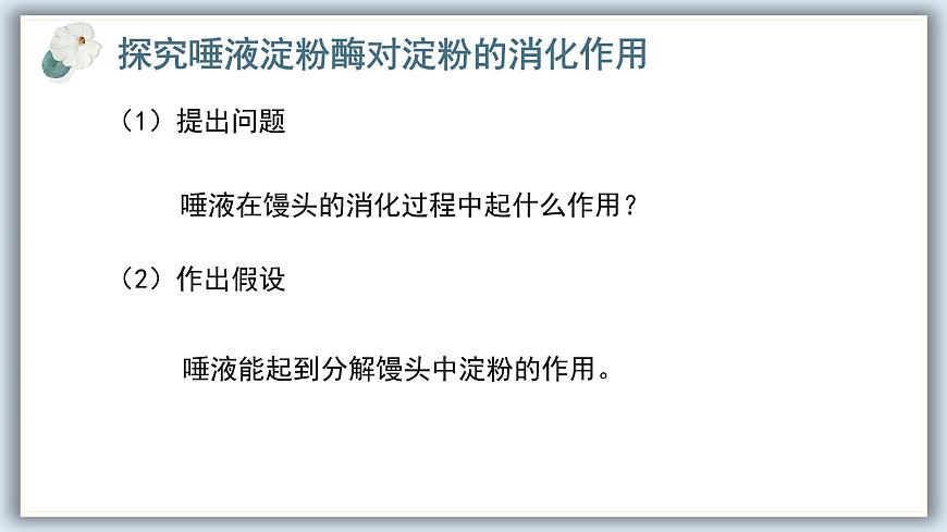 【核心素養(yǎng)目標(biāo)】冀少版初中生物七年級(jí)下冊(cè)《食物在口腔內(nèi)的消化》課件pptx第5頁(yè)