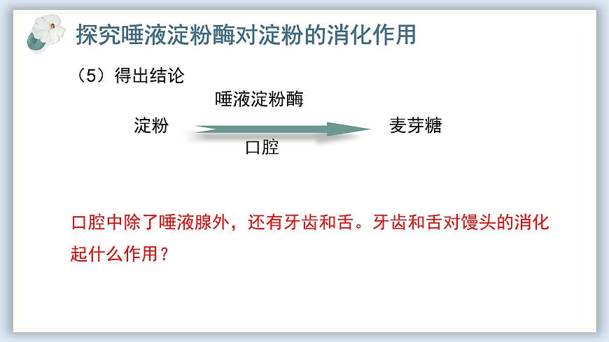 【核心素養(yǎng)目標(biāo)】冀少版初中生物七年級(jí)下冊(cè)《食物在口腔內(nèi)的消化》課件pptx第8頁(yè)