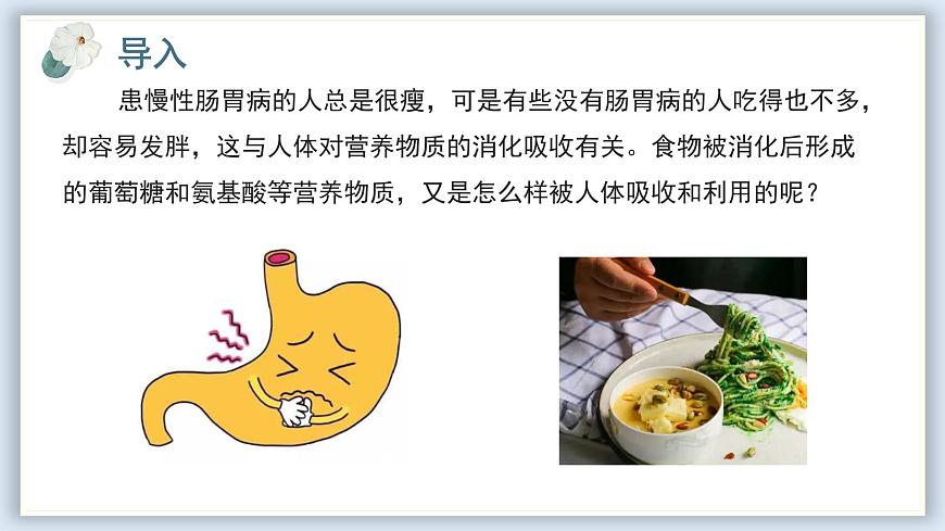 【核心素養(yǎng)目標(biāo)】冀少版初中生物七年級下冊《營養(yǎng)物質(zhì)的吸收》課件pptx第2頁