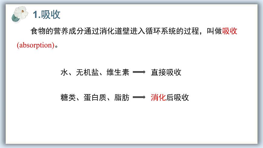 【核心素養(yǎng)目標(biāo)】冀少版初中生物七年級下冊《營養(yǎng)物質(zhì)的吸收》課件pptx第5頁