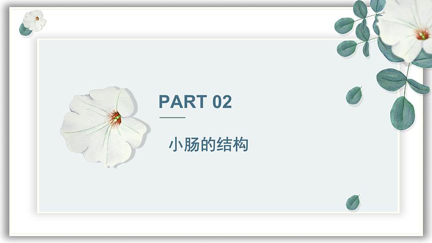 【核心素養(yǎng)目標(biāo)】冀少版初中生物七年級下冊《營養(yǎng)物質(zhì)的吸收》課件pptx第8頁