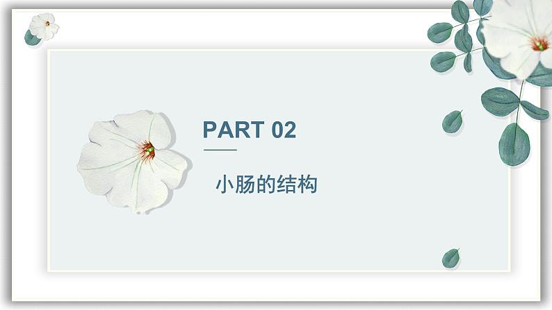 【核心素养目标】冀少版初中生物七年级下册《营养物质的吸收》课件pptx第8页