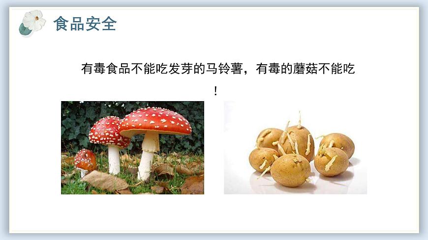 【核心素養(yǎng)目標(biāo)】冀少版初中生物七年級(jí)下冊(cè)《食品安全與合理飲食》課件第8頁(yè)