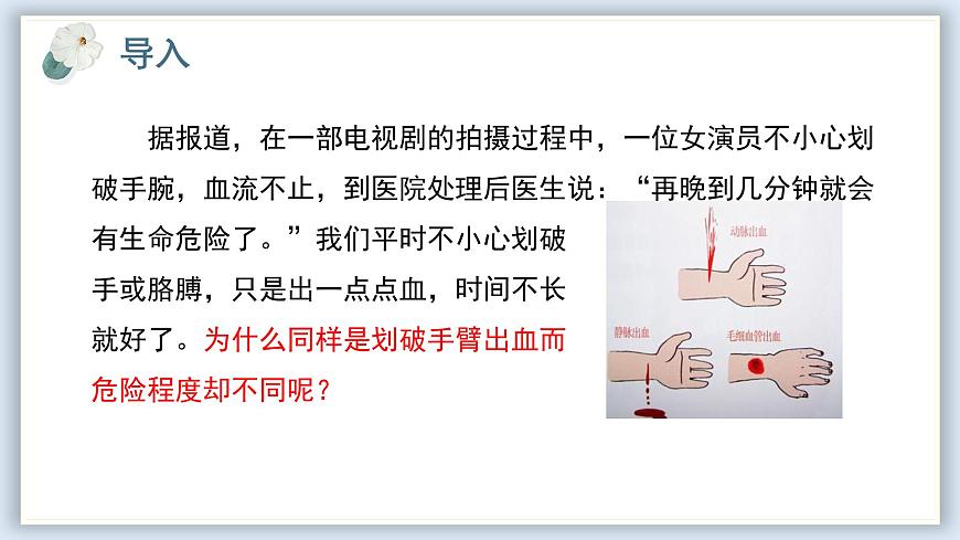 【核心素養(yǎng)目標(biāo)】冀少版初中生物七年級下冊《血管》課件第2頁