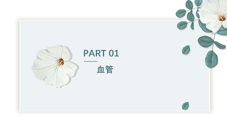 【核心素養(yǎng)目標(biāo)】冀少版初中生物七年級下冊《血管》課件第4頁