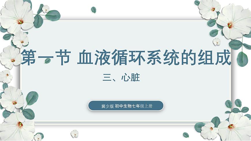 【核心素養(yǎng)目標】冀少版初中生物七年級下冊《心臟》課件第1頁