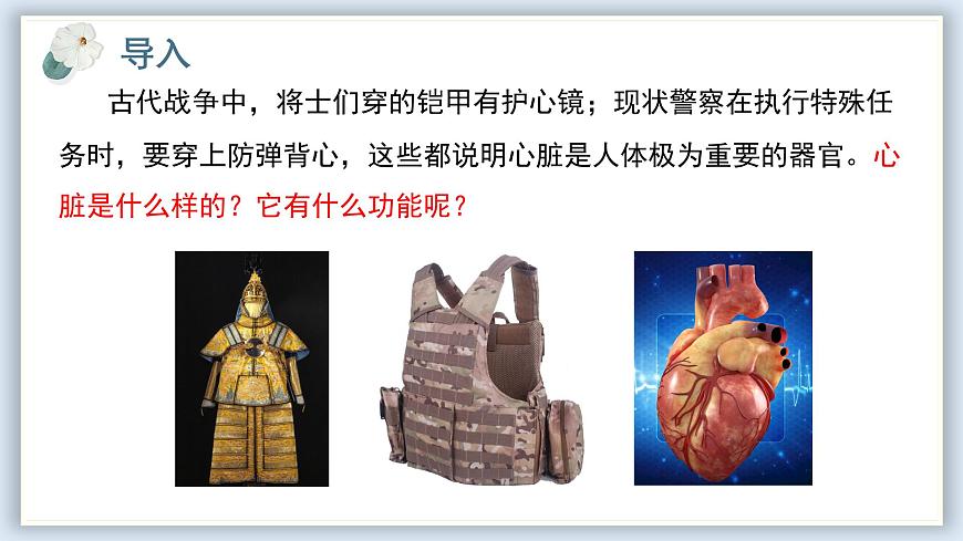 【核心素養(yǎng)目標】冀少版初中生物七年級下冊《心臟》課件第2頁