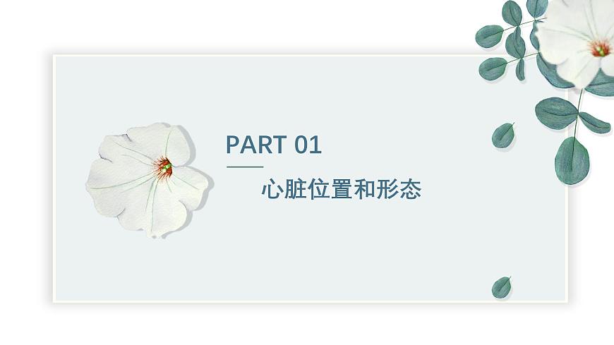 【核心素養(yǎng)目標】冀少版初中生物七年級下冊《心臟》課件第4頁