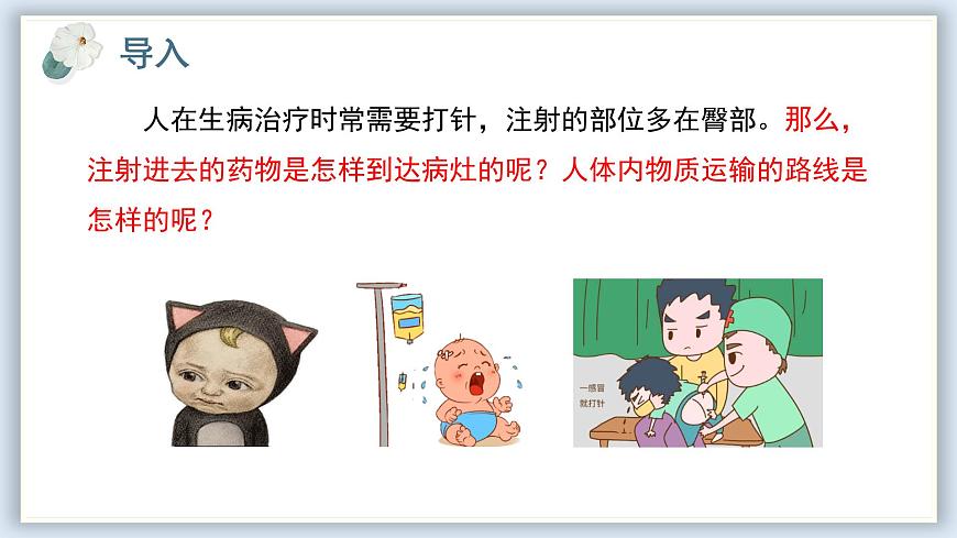 【核心素養(yǎng)目標(biāo)】冀少版初中生物七年級下冊《血液循環(huán)的途徑和功能》課件 - 副本第2頁