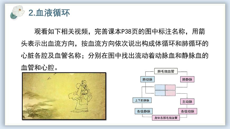 【核心素養(yǎng)目標(biāo)】冀少版初中生物七年級下冊《血液循環(huán)的途徑和功能》課件 - 副本第6頁