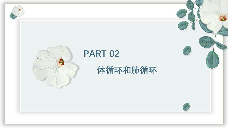 【核心素養(yǎng)目標(biāo)】冀少版初中生物七年級下冊《血液循環(huán)的途徑和功能》課件 - 副本第8頁