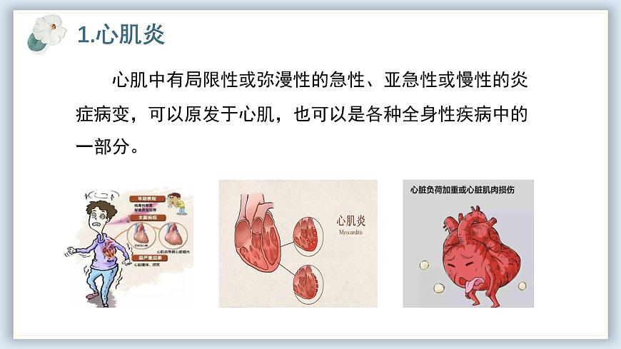 【核心素養(yǎng)目標(biāo)】冀少版初中生物七年級(jí)下冊(cè)《心臟和血管的保護(hù)》課件第6頁